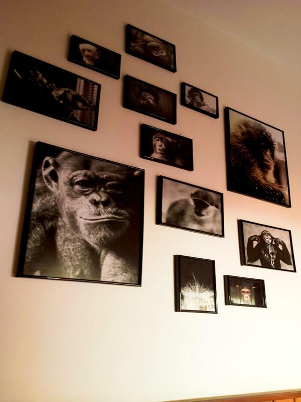 The Mellow Monkey Hostel Задар Экстерьер фото